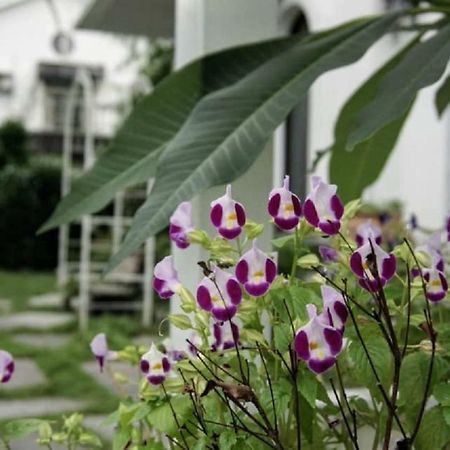 Hasayaki Homestay Sanxing Township Exterior foto