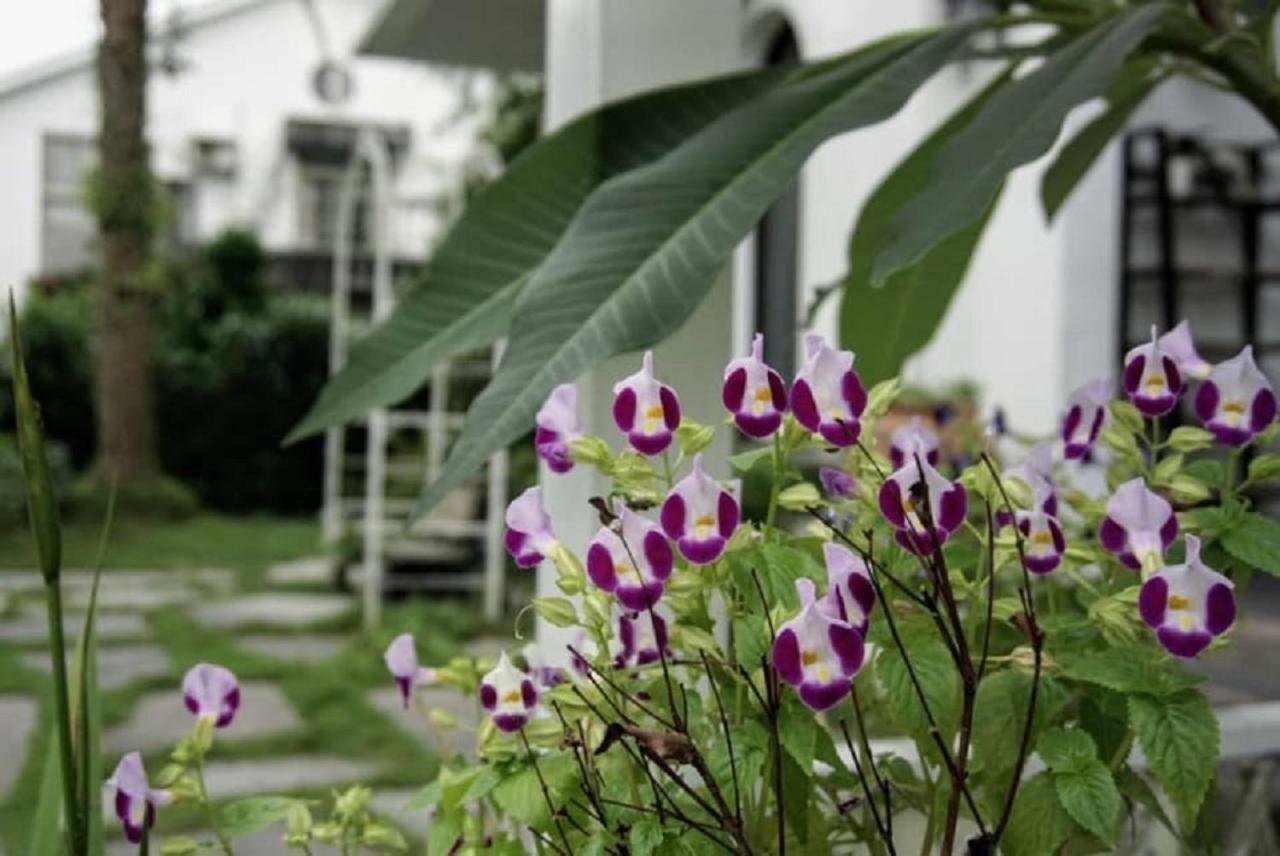 Hasayaki Homestay Sanxing Township Exterior foto